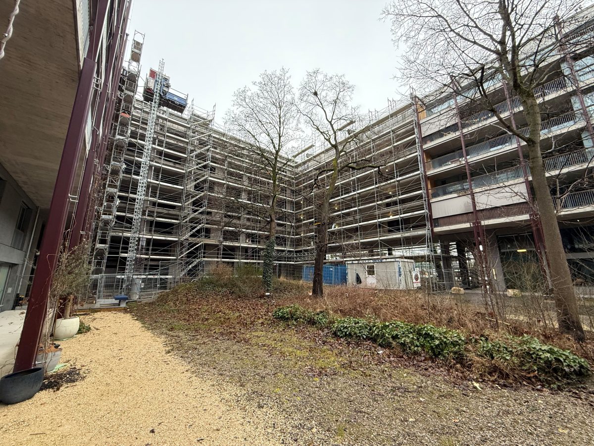 Canonica + Lotti AG, Neubau Westfeld